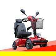 Ej Scooters And Excursions, Tías