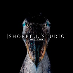 Shoebill Studio, Alicante