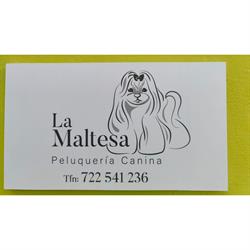 La Maltesa, Santander