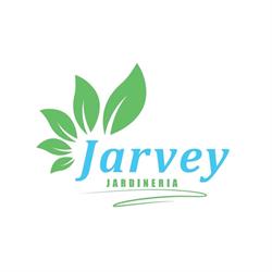 Jardineria Y Multiservicios Jarvey, Palma de Mallorca