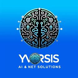 Yvorsis AI & Net Solutions, Mula