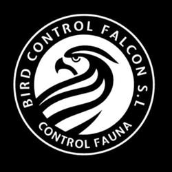Bird Control Falcon S.L., Calipo