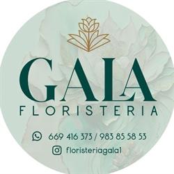 Floristería Gala, Valladolid