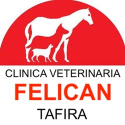 Clinica Veterinaria Felicán Tafira, Tafira Alta