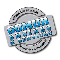 Gomur Engines & Services, Guarnizo