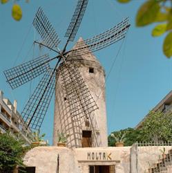 Moltak * The Windmill Kitchen * Cooking Class Mallorca, Palma de Mallorca
