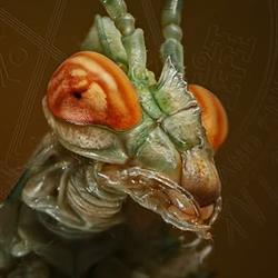 TATTOO MANTIS, Valladolid
