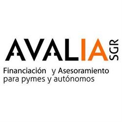 Avalia Aragón SGR, Zaragoza