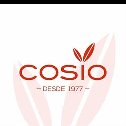 Tienda Cosío, Santander