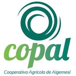 Cooperativa Agrícola S.C.J. Coop.V. Algemesí