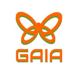 GAIA – FALCO, Petrel