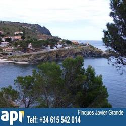 Fincas Javier Grande, Colera