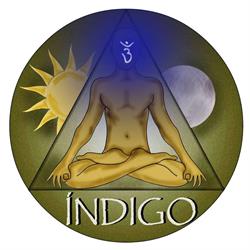 Centro Indigo, Masajes - Osteopatia - Drenaje linfatico-Flores de bach-Terapias en Toledo