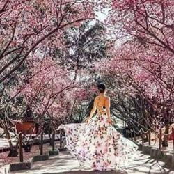 Lenceria y Ropa Rosa, Museros