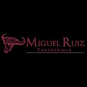 Taxidermia Miguel Ruiz, Talavera de la Reina