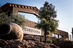 Celler Castelo de Pedregosa, Sant Sadurni d'Anoia