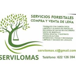 Servilomas, Hontoba