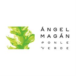 Ángel Magan, Madrid
