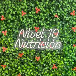 Nutrición y Bienestar Nivel 10, Santander