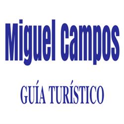 Miguel Campos Guía Turístico, Granada