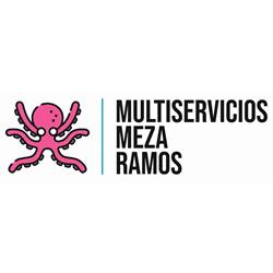 Multiservicios Meza Ramos, Lugo