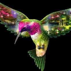 Artesanía El Colibrí, O Rosal