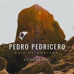 Pedro Pedricero Guía, Madrid