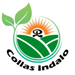 Collas Indalo, El Ejido