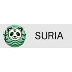 Suria, Las Rozas de Madrid