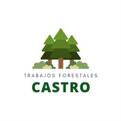 Trabajos Forestales Castro, Santa Comba