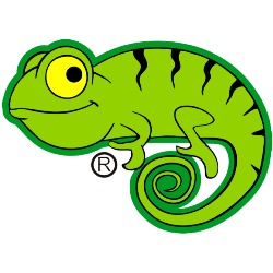 LIZARD THE BRAND, Málaga