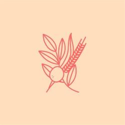 Guava Bakery - Cafetería artesanal. Tartas online y en tienda, Valencia