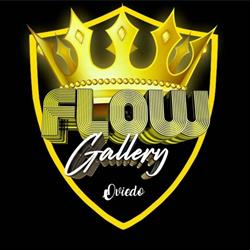 Flow Gallery Oviedo
