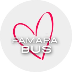 FAMAR BUS, Arrecife
