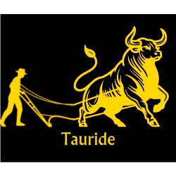 TAURIDE D INVERSIONS SL, Lleida