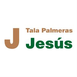 Jesús Velázquez-Duro Pinilla, Gijón