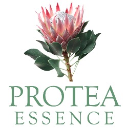 PROTEA ESSENCE, Arroyomolinos