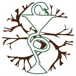 Raíces Vivas, Herboristería y Terapias naturales, Valencia
