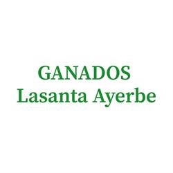 Ganados Lasanta Ayerbe, Laguna de Cameros