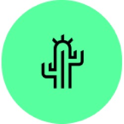 Cactus Seny Gràfic – diseño gráfico y desarrollo web, Sabadell