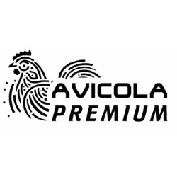 Avicola Premium, Alcantarilla