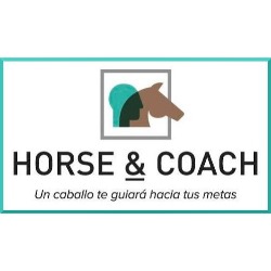 Horse and Coach, Alicante