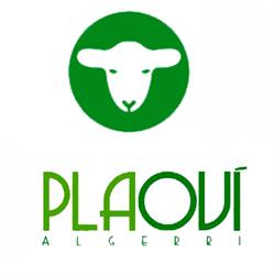 PlaOvi, Algerri