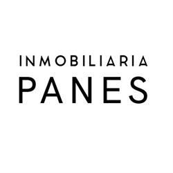ASESORIA PANES, Panes