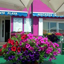Bar Playa, El Cabo de Gata