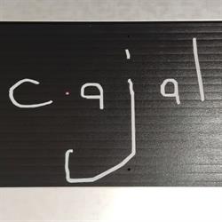 Cajal 6, Trigueros
