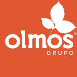 Grupo Olmos, Armilla
