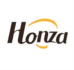 Honza, Zamora