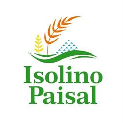 Isolino Paisal, Palmeira
