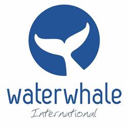 Waterwhale International, Zaragoza